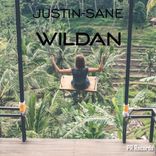 Artwork for "Wildan"