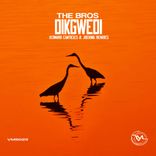 Artwork for "Dikgwedi"