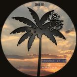 Artwork for "Revolution"