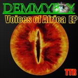 Artwork for "Voices of Africa"