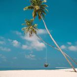 Artwork for "Gliding"