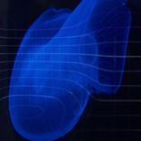 Artwork for "You, Me, Us, Spines"