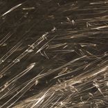 Portada para "Circuit Trax"