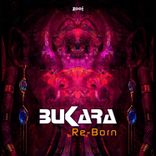 Artwork für "Re - Born"