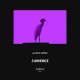 Portada para "Sumerge"