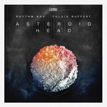 Artwork for "Asteroid Head"