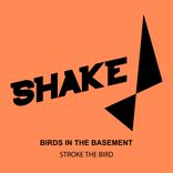 Artwork for "Stroke The Bird"