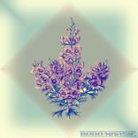 Artwork for "Marsie"