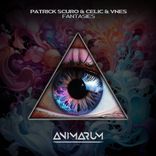 Portada para "Fantasies"