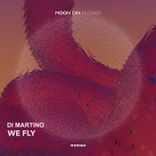 Artwork voor "We Fly"