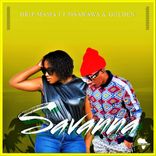 Artwork for "Savanna"