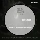 Artwork for "Darkness"