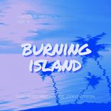 Artwork for "Burning Island (Mad Electro House Collection), Vol. 4"