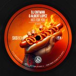 Artwork for "Hot For You"