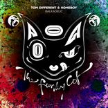 Portada para "Balkadelic"