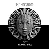 Artwork voor "Namari Poco"