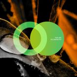 Artwork for "Solomonster"