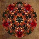 Artwork für "Amber Suns {Darkersound Remix}"