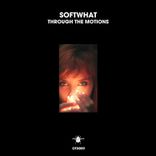 Artwork voor "Through the Motions"