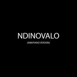 Artwork for "Ndinovalo"