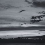 Portada para "Stay Young"