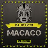 Artwork for "Macaco"