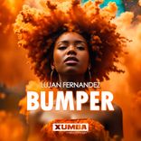 Artwork for "Bumper"