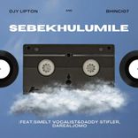 Artwork für "Sebekhulumile"