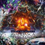Ayahuasca