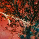 Artwork voor "Lost In The Haze"