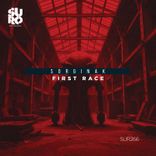 Artwork for "First Race"