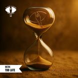 Artwork for "Too Late"