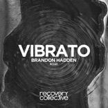 Artwork for "Vibrato"