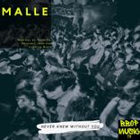 Never Knew Without You