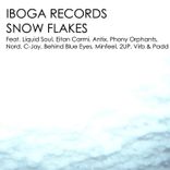 Artwork für "Snow Flakes"