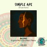 Portada para "Fracture"