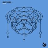 Artwork for "Mapuche"