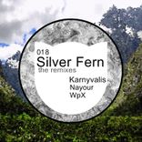 Artwork für "Silver Fern - the Remixes"