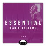 Artwork for "Essential Radio Anthems, Vol. 6"