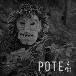 Artwork voor "Pote 4"