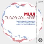 Portada para "Tudor Collapse"