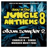 Artwork for "Deep In The Jungle Anthems 8 - LP Sampler 2"
