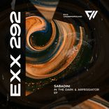 Artwork for "In The Dark & Arpeggiator"