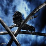 Artwork for "Alternativ"