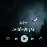 Artwork for "In the night"
