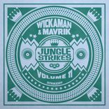 Artwork für "Jungle Strikes, Vol. 11"