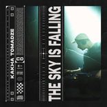 Artwork for "The Sky Is Falling"
