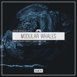 Portada para "Modular Whales"