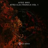 Artwork for "Afro Electronica, Vol. 1"