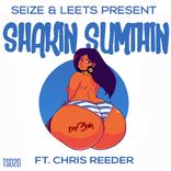 Artwork for "Shakin Sumthin"